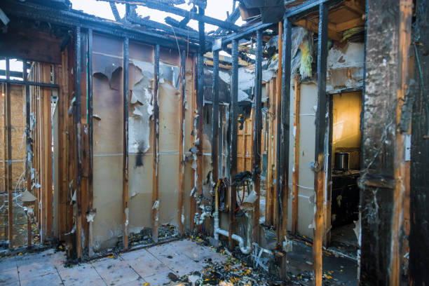 Professional Structural Rebuild technician working in Takoma Park, MD