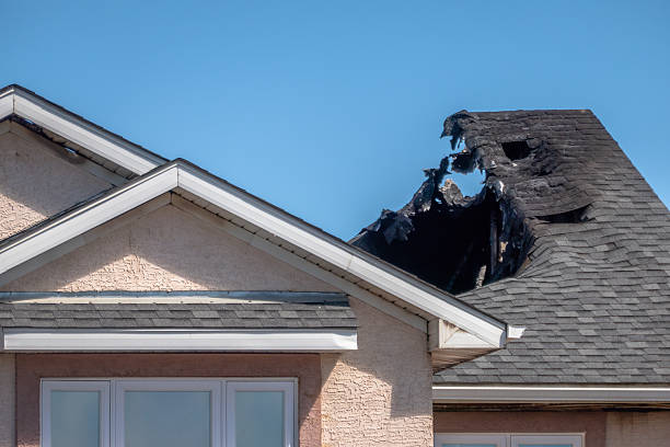 Top rated local Structural Rebuild specialists in Takoma Park, MD